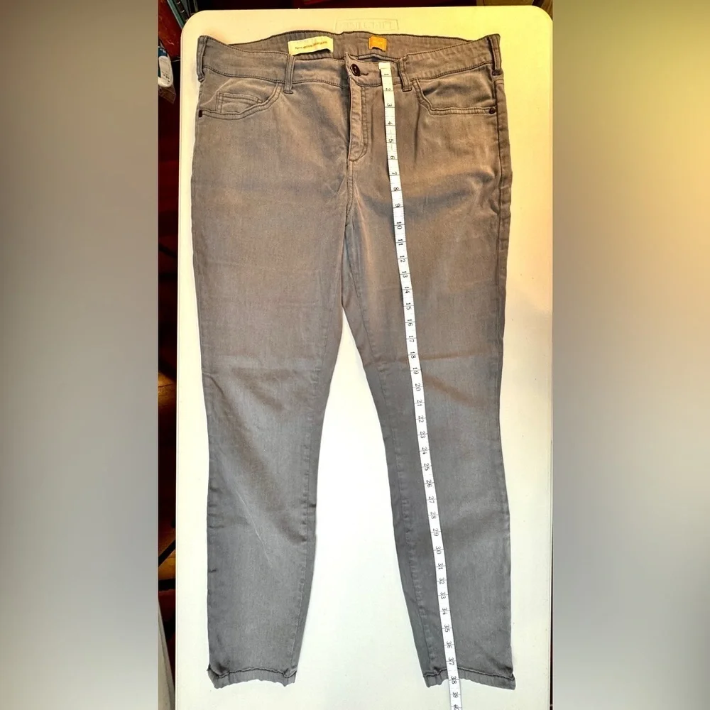 Pilcro & the Letterpress Gray Skinny Jeans Size 32 Ankle Zip Anthropologie